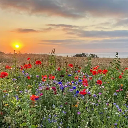 Alkmar - 75m From The Sea By Interhome *